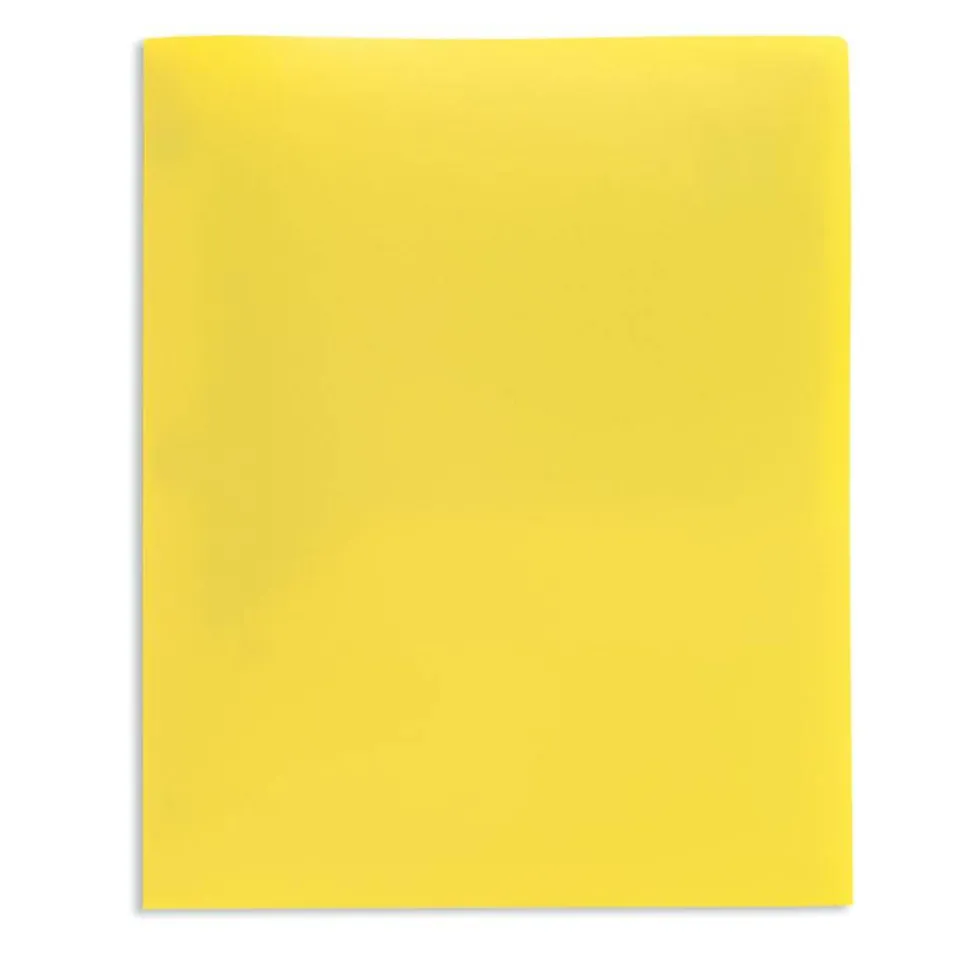 2-Pocket Poly Folders, Letter Size, Assorted Colors, Pack Of 10