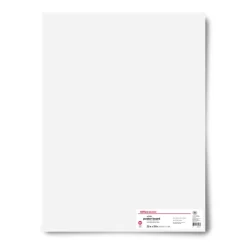 Poster Board, 22" x 28", White, Pack Of 10