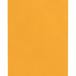 Quality Park Catalog Envelopes, Gummed Closure, 9