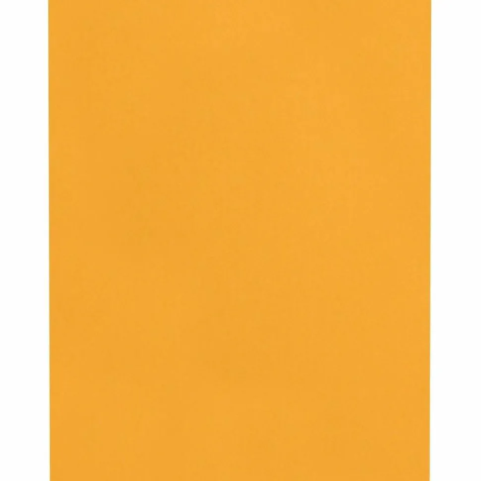 Quality Park Catalog Envelopes, Gummed Closure, 9" x 12", Brown, Box Of 100