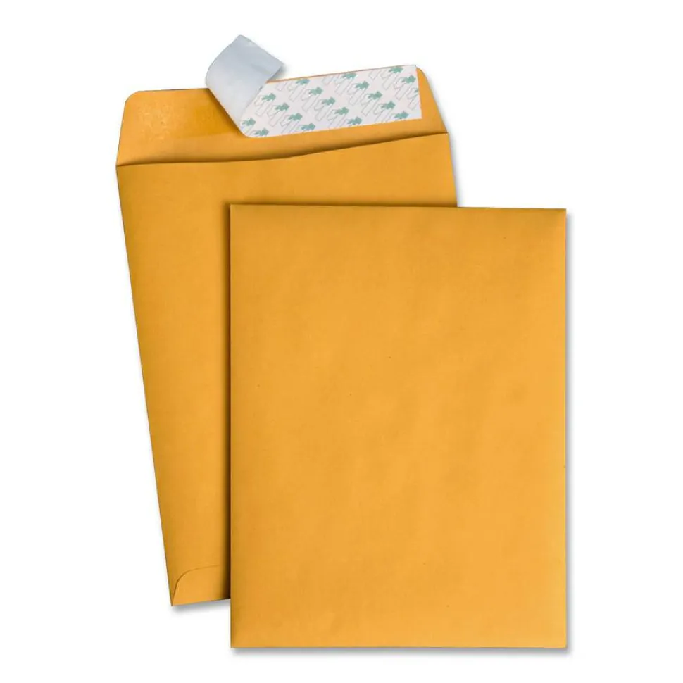 Quality Park Redi-Strip Catalog Envelopes, 9" x 12", Self-Adhesive, Brown Kraft, Box Of 100