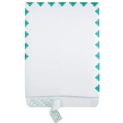 Quality Park Redi-Strip Catalog Envelopes, First Class, 10