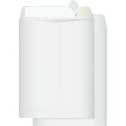 Quality Park Redi-Strip Plain Catalog Envelopes - Catalog - #10 1/2 - 9" Width x 12" Length - 28 lb - Peel & Seal - Wove - 100 / Box - White