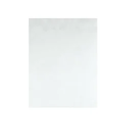 Quality Park Tyvek Envelopes, 10