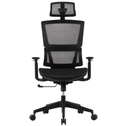 Radano Mesh High-Back Executive Office Chair, Black, BIFMA Compliant