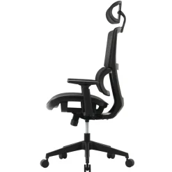 Radano Mesh High-Back Executive Office Chair, Black, BIFMA Compliant