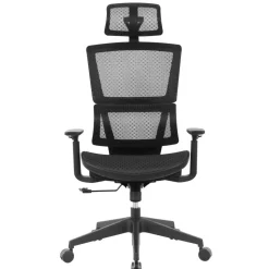 Radano Mesh High-Back Executive Office Chair, Black, BIFMA Compliant