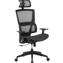 Radano Mesh High-Back Executive Office Chair, Black, BIFMA Compliant