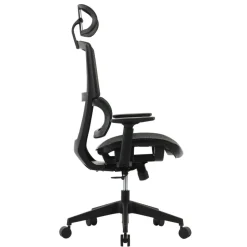 Radano Mesh High-Back Executive Office Chair, Black, BIFMA Compliant