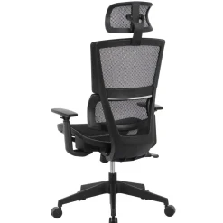 Radano Mesh High-Back Executive Office Chair, Black, BIFMA Compliant