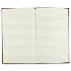 Rediform Texhide Cover Record Books With Margin, 8 3/4