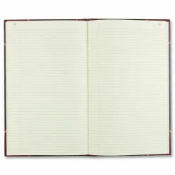 Rediform Texhide Cover Record Books with Margin - 300 Sheet(s) - Thread Sewn - 8.75