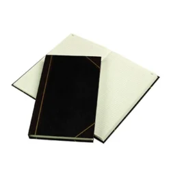 Rediform Texhide Cover Record Books with Margin - 300 Sheet(s) - Thread Sewn - 8.75