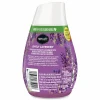 Renuzit Adjustables Air Freshener, Lovely Lavender, 7 oz Cone, 12/Carton