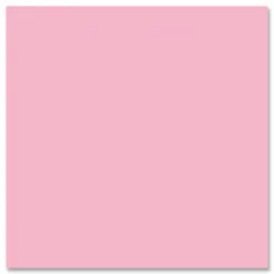 Roaring Spring EnviroShades Steno Pad, White Cover, Gregg Rule, (80) Pink 6 x 9 Sheets, 24/Carton
