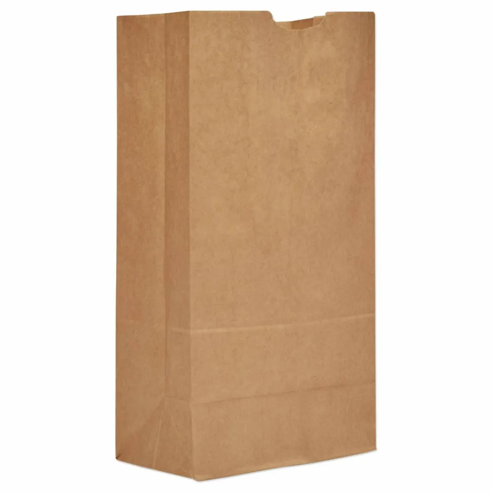 Ross & Wallace Paper Products Grocery Paper Bags, 20# Size, 40# Basis Weight, 8.25" x 5.25" x 16.13", Kraft, 500/Bundle
