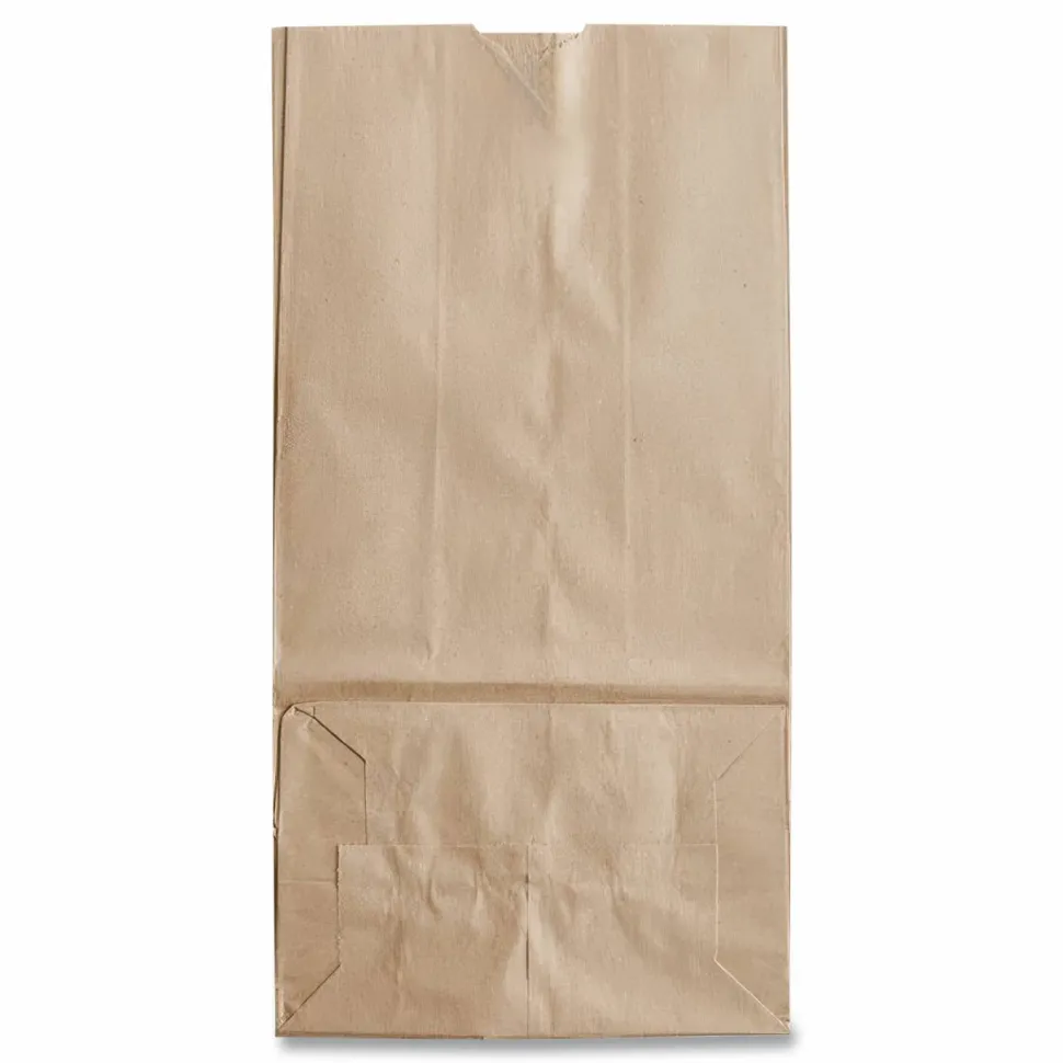 Ross & Wallace Paper Products Grocery Paper Bags, 20# Size, 40# Basis Weight, 8.25" x 5.25" x 16.13", Kraft, 500/Bundle