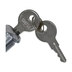 Rubbermaid Commercial Cleaning Cart Replacement Lock and Keys for Cleaning Carts, Silver