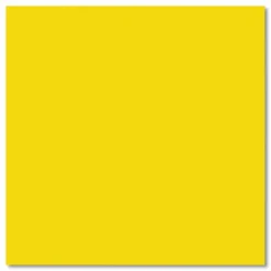 Rust-Oleum Commercial The MULE (Modified Urethane Latex Epoxy), Interior/Exterior, Gloss Safety Yellow, 1 gal Bucket/Pail, 2/Carton