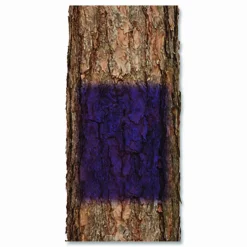 Rust-Oleum Specialty No Hunting Purple Spray Paint, Flat No Hunting Purple, 12 oz Aerosol Can, 6/Carton