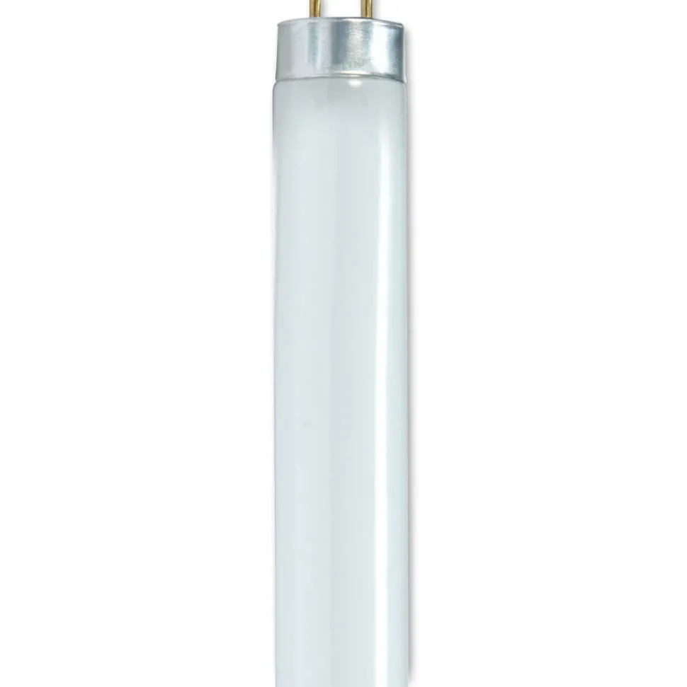 Satco T8 Linear Fluorescent Light Bulbs, 32 Watts, Pack Of 30 Bulbs