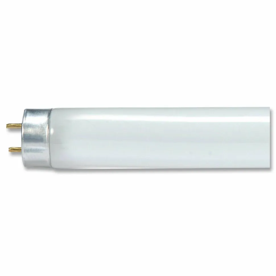 Satco T8 Linear Fluorescent Light Bulbs, 32 Watts, Pack Of 30 Bulbs