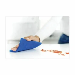 Scotch-Brite Non-Scratch Scour Pads, 3 x 6, Blue, 10/Carton