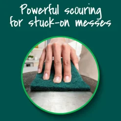 Scotch-Brite Scouring Pads, 3 Scour Pads, Great for Kitchen, Garage and Outdoors