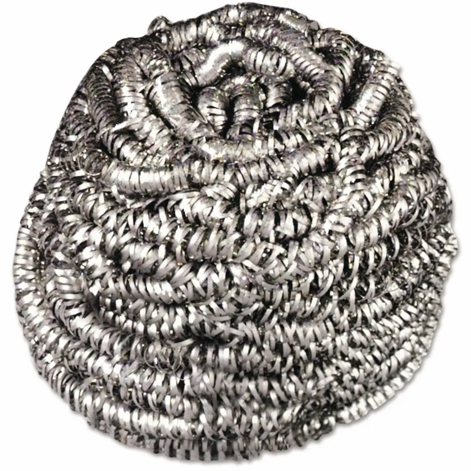 Scotch-Brite Stainless Steel Scrubber, Silver, 12/Carton