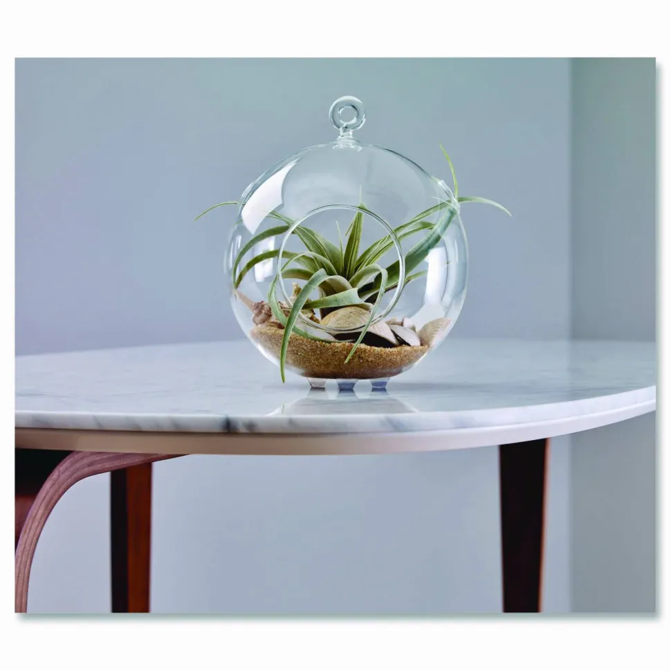 Scotch Bumpers, 0.5" dia, Clear, 40/Pack