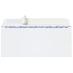 #9 Security Envelopes, Double Window, 3-7/8