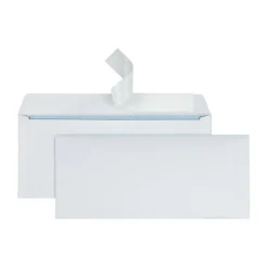 #10 Security Envelopes, 4-1/8" x 9-1/2", Clean Seal, White, Box Of 250