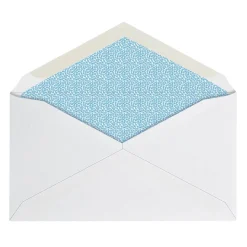 #6 3/4 Security Envelopes, 3-5/8
