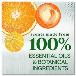 Seventh Generation Foaming Dish Spray, Mandarin Orange Scent, 16 oz Bottle