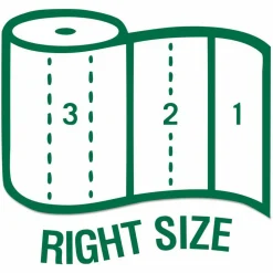 Seventh Generation 100% Recycled Paper Kitchen Towel Rolls, 2-Ply, 11 x 5.4, 156 Sheets/Rolls, 32 Rolls/Carton