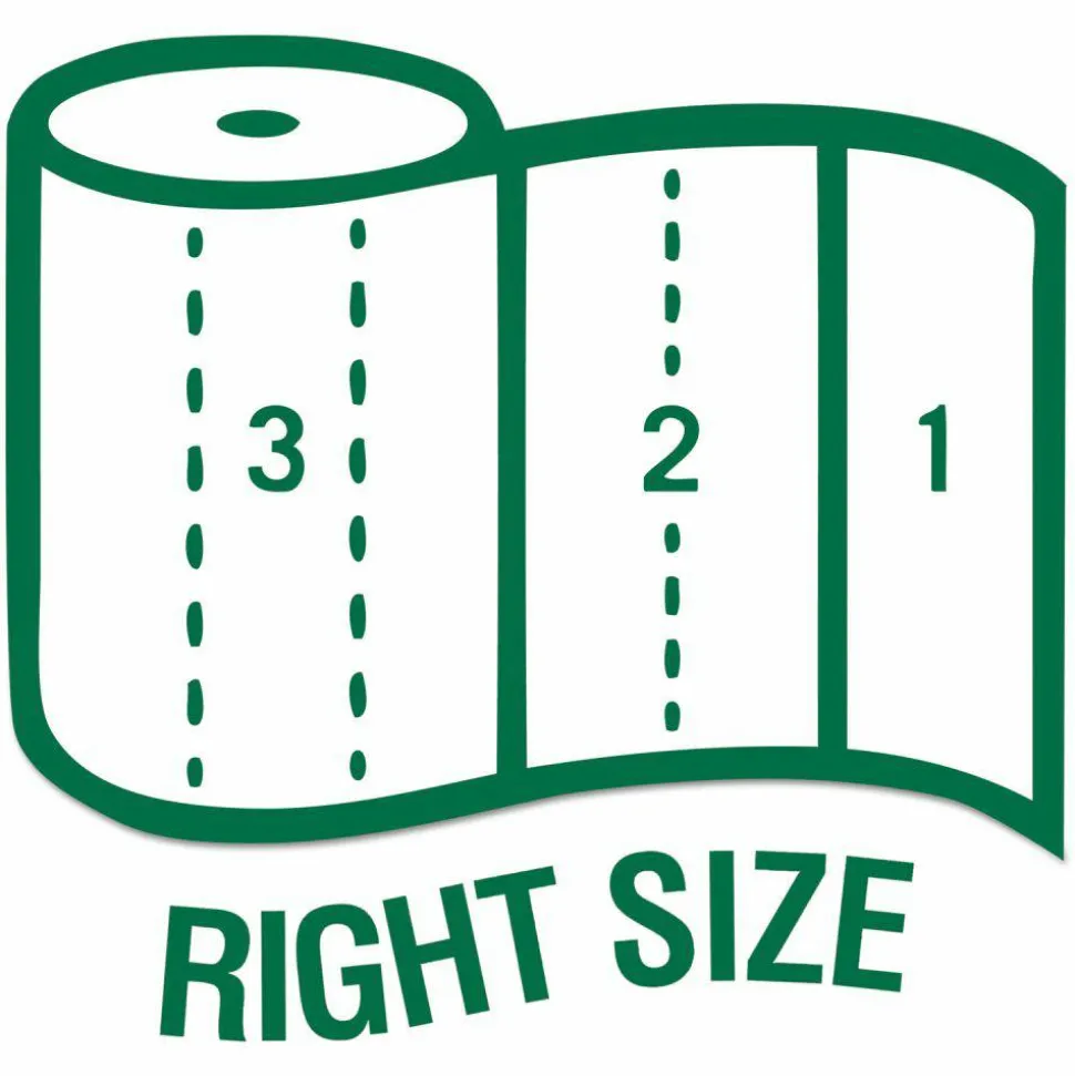 Seventh Generation 100% Recycled Paper Kitchen Towel Rolls, 2-Ply, 11 x 5.4, 156 Sheets/Rolls, 32 Rolls/Carton