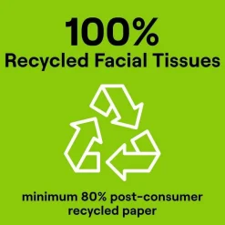 Seventh Generation 100% Recycled Facial Tissue, 2-Ply, White, 85 Sheets/Box