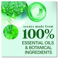 Seventh Generation Toilet Bowl Cleaner, Fresh Mint Scent, 24 oz Bottle, 4/Carton
