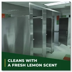 Simple Green All-Purpose Cleaner, Lemon Scent, 24 Oz Bottle, Case Of 12
