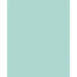 Sparco Color Multi-Use Printer & Copy Paper, Blue, Letter (8.5
