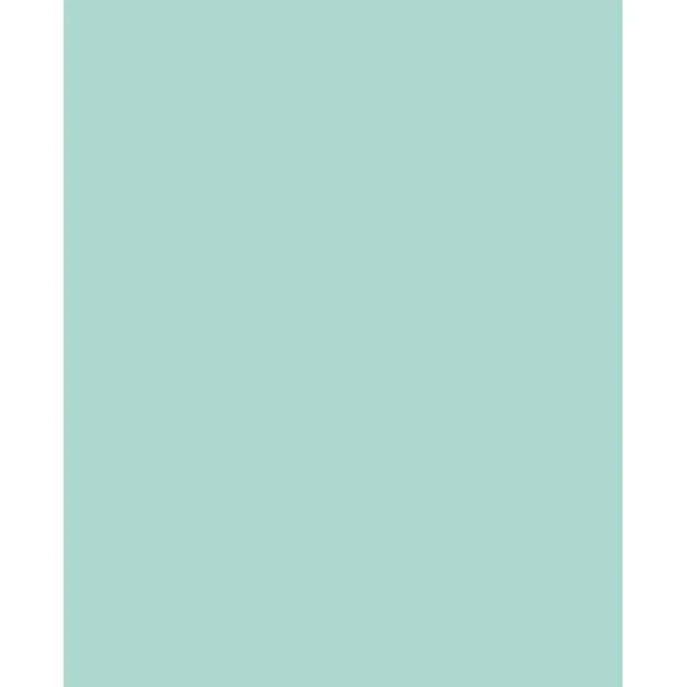 Sparco Color Multi-Use Printer & Copy Paper, Blue, Letter (8.5" x 11"), 500 Sheets Per Ream, 20 Lb, 90 Brightness, 30% Recycled