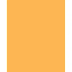 Sparco Color Multi-Use Printer & Copy Paper, Goldenrod, Letter (8.5" x 11"), 500 Sheets Per Ream, 20 Lb, 90 Brightness, 30% Recycled