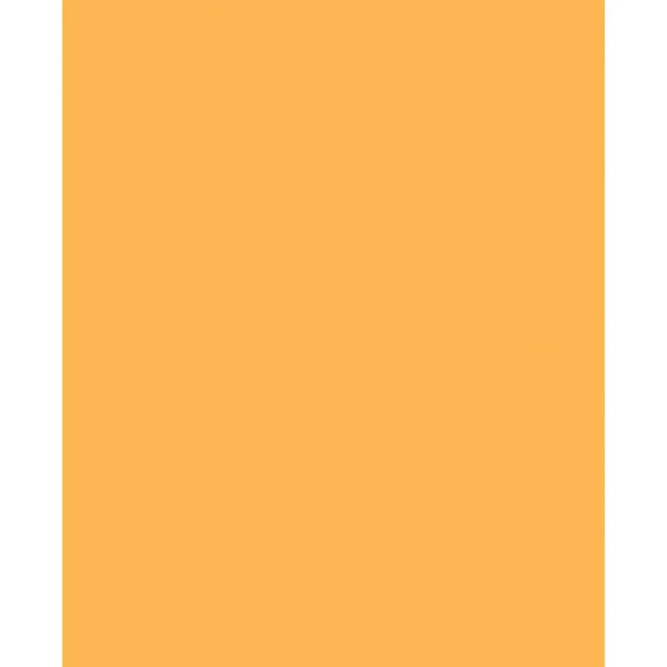 Sparco Color Multi-Use Printer & Copy Paper, Goldenrod, Letter (8.5" x 11"), 500 Sheets Per Ream, 20 Lb, 90 Brightness, 30% Recycled