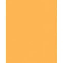 Sparco Color Multi-Use Printer & Copy Paper, Goldenrod, Letter (8.5