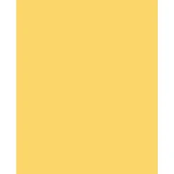 Sparco Color Multi-Use Printer & Copy Paper, Canary, Letter (8.5" x 11"), 500 Sheets Per Ream, 20 Lb, 90 Brightness, 30% Recycled