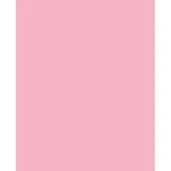 Sparco Color Multi-Use Printer & Copy Paper, Pink, Letter (8.5