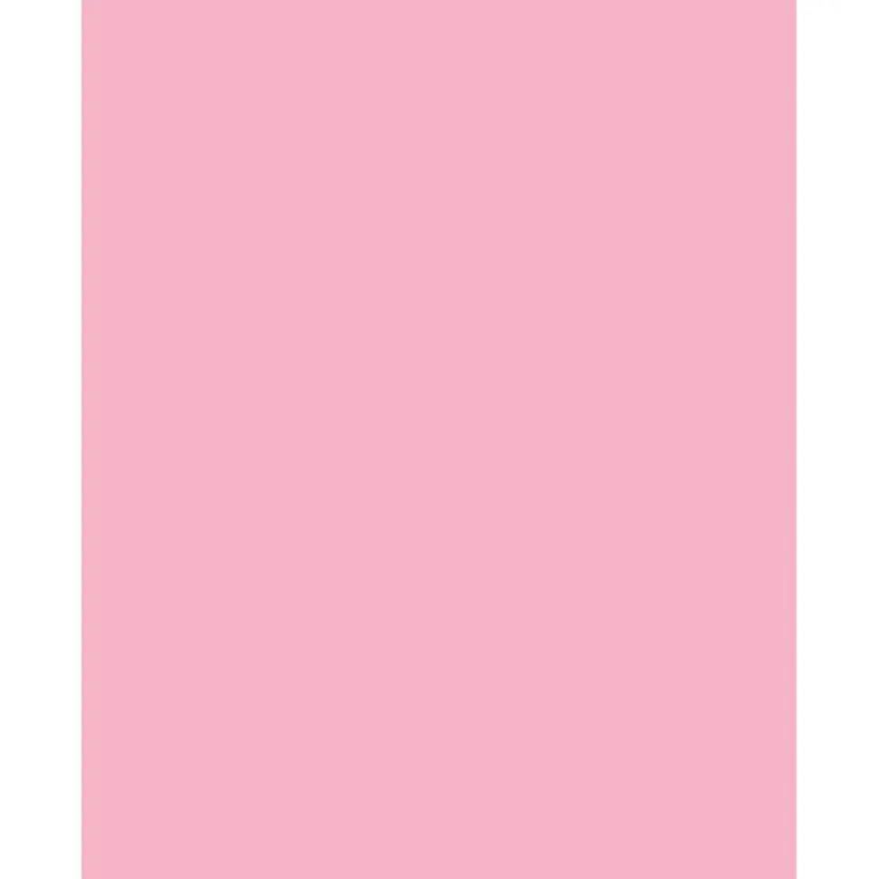 Sparco Color Multi-Use Printer & Copy Paper, Pink, Letter (8.5" x 11"), 500 Sheets Per Ream, 20 Lb, 90 Brightness, 30% Recycled