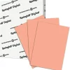 Springhill Multipurpose Cardstock - Salmon