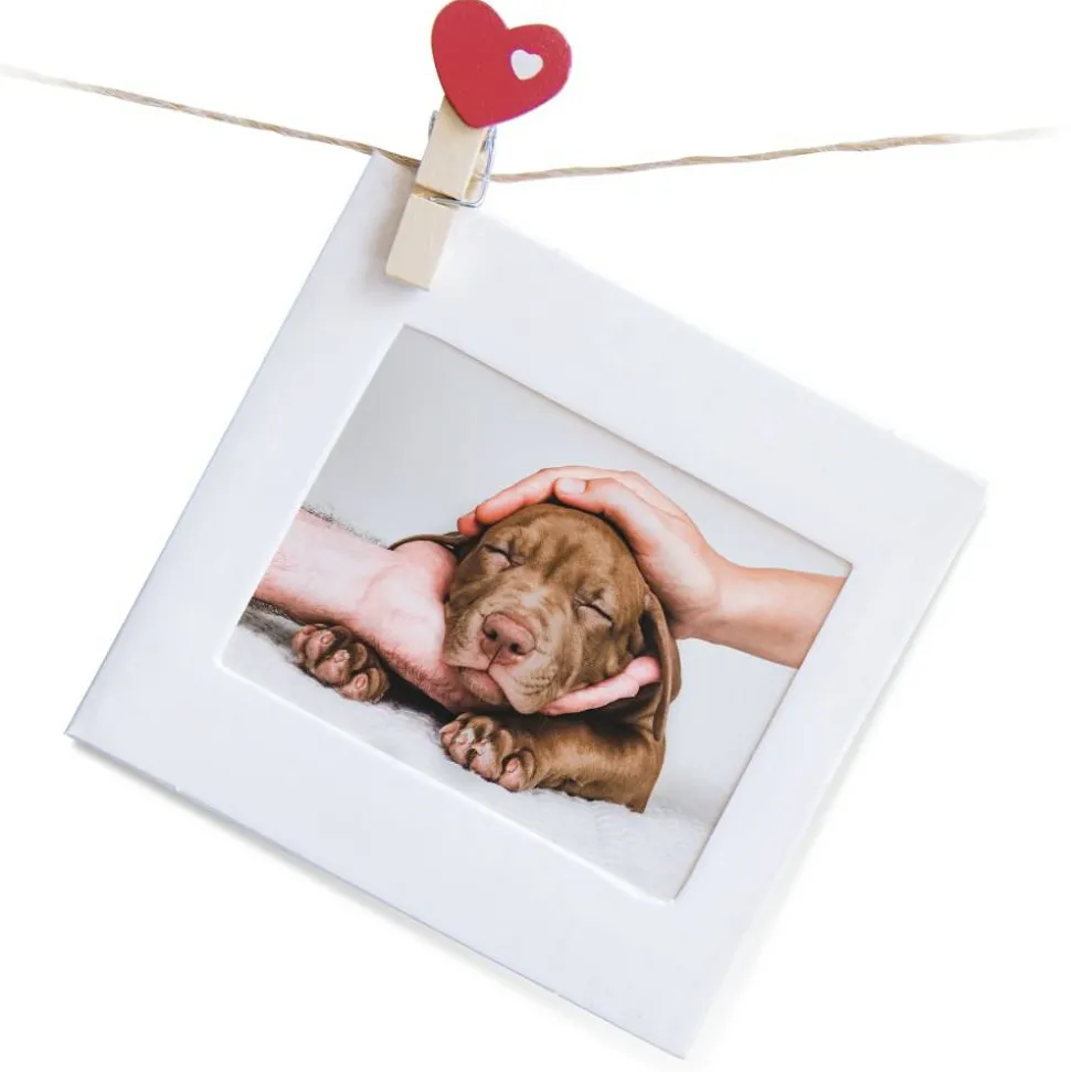 Standard Photo Paper, Glossy, 4" x 6", White, Pack Of 100 Sheets