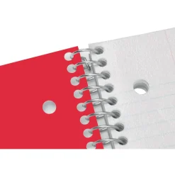 Stellar Poly Notebook, 8-1/2